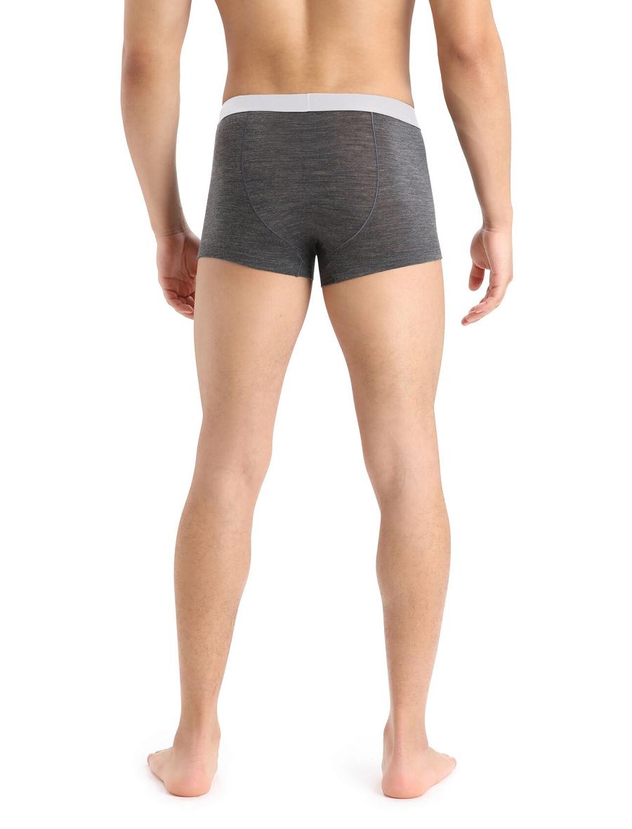 Icebreaker Cool-Lite™ Merino Anatomica Trunks Férfi Fehérnemű Taupe | HU 1288WNBY